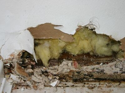 About ICI Restoration - water damage restoration experts in Dallas